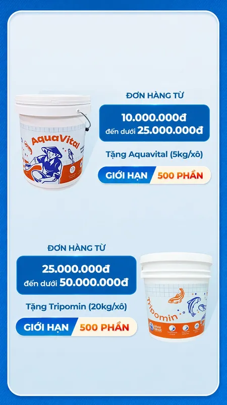 Sản phẩm popup moblie khuyen mai he thang 7 aquavital tripomin — Công Ty TNHH Khai Nhật — MST 0317473485