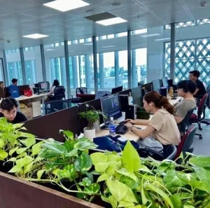 Sản phẩm van phong phuc loc tho min — Phúc Lộc Thọ Fruits - Công Ty TNHH Hoa Quả Phúc Lộc Thọ — MST 0317473982