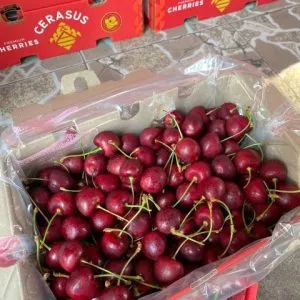 Sản phẩm 0_IMG_6053 300x300 — Phúc Lộc Thọ Fruits - Công Ty TNHH Hoa Quả Phúc Lộc Thọ — MST 0317473982