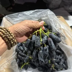 Sản phẩm 0_IMG_6060 300x300 — Phúc Lộc Thọ Fruits - Công Ty TNHH Hoa Quả Phúc Lộc Thọ — MST 0317473982