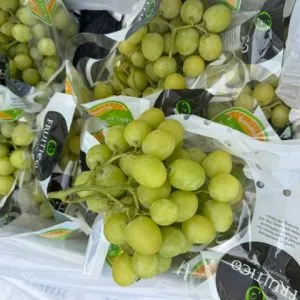 Sản phẩm 0_IMG_6066 300x300 — Phúc Lộc Thọ Fruits - Công Ty TNHH Hoa Quả Phúc Lộc Thọ — MST 0317473982