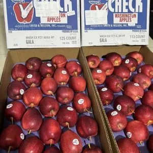 Sản phẩm gala big check min 300x300 — Phúc Lộc Thọ Fruits - Công Ty TNHH Hoa Quả Phúc Lộc Thọ — MST 0317473982