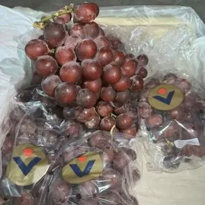 Sản phẩm nho do peru 1 min 300x300 — Phúc Lộc Thọ Fruits - Công Ty TNHH Hoa Quả Phúc Lộc Thọ — MST 0317473982