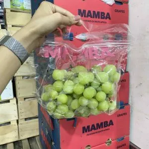 Sản phẩm nho xanh nam phi 1 300x300 — Phúc Lộc Thọ Fruits - Công Ty TNHH Hoa Quả Phúc Lộc Thọ — MST 0317473982