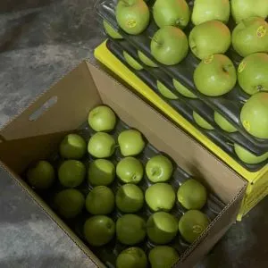 Sản phẩm tao xanh my 1 min 300x300 — Phúc Lộc Thọ Fruits - Công Ty TNHH Hoa Quả Phúc Lộc Thọ — MST 0317473982