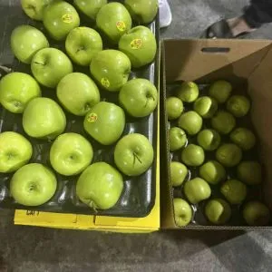 Sản phẩm tao xanh my min 300x300 — Phúc Lộc Thọ Fruits - Công Ty TNHH Hoa Quả Phúc Lộc Thọ — MST 0317473982