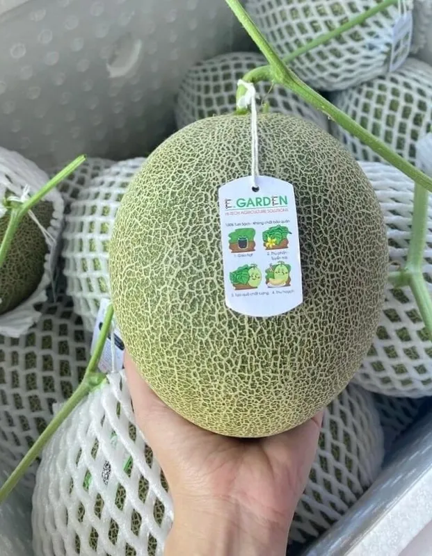 Sản phẩm IMG_8156 e1713422257866 — Phúc Lộc Thọ Fruits - Công Ty TNHH Hoa Quả Phúc Lộc Thọ — MST 0317473982