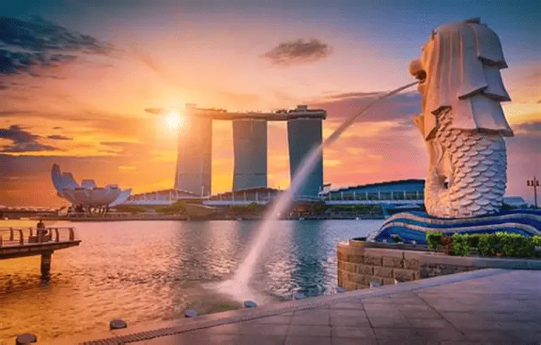 Sản phẩm san ve di singapore cung traveloka — Phúc Lộc Thọ Fruits - Công Ty TNHH Hoa Quả Phúc Lộc Thọ — MST 0317473982