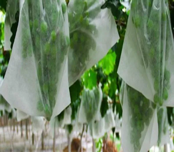 Sản phẩm 5619c2_d7235759610f47b89c441b726406ce1dmv20 (Copy) — Vải Không Dệt Biển Xanh - Công Ty TNHH Xuất Nhập Khẩu Biển Xanh — MST 0317517414