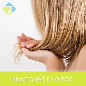 Sản phẩm 12 300x300 — Công Ty TNHH Thương Mại Dịch Vụ Rumilab — MST 0317529096