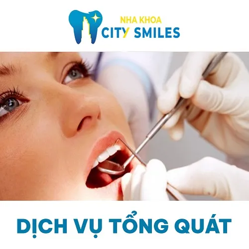 Sản phẩm Dich Vu Tong Quat — Công Ty Cổ Phần City Smiles — MST 0317541463