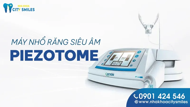 Sản phẩm 1 — Công Ty Cổ Phần City Smiles — MST 0317541463