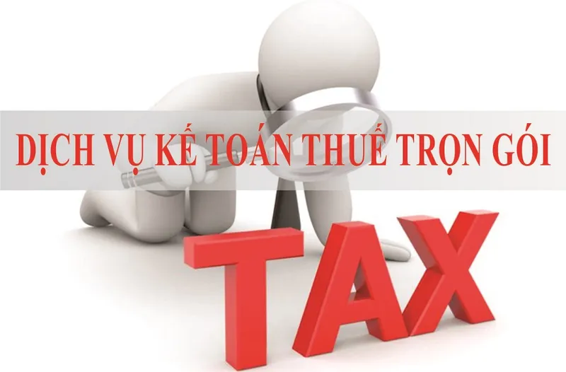 Sản phẩm Dich vu ke toan thue tron goi — Công Ty TNHH Dịch Vụ Tư Vấn Mai Thanh — MST 0317544217