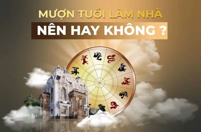 Sản phẩm cach hoa giai tuoi ky xay nha 2026 (2) — Xây Dựng Saigon Building - Công Ty TNHH Xây Dựng Saigon Building — MST 0317555233
