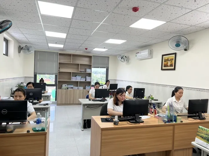 Sản phẩm dich vu thue 24h 1 — Công Ty TNHH Tư Vấn Luật Và Dịch Vụ Thuế 24h — MST 0317562865