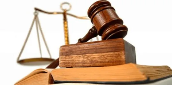 Sản phẩm van phong luat su soc trang 600x297 — NT INTERNATIONAL LAW FIRM — MST 0317566210