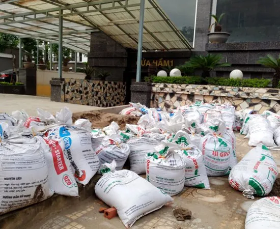 Sản phẩm cat da dong bao — Công Ty TNHH Thương Mại Xây Dựng Châu Thuận Phát — MST 0317568218