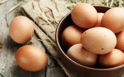 Sản phẩm gia trung ga ta ga cong nghiep nam 2023 la bao nhieu8822 — Công Ty TNHH Thương Mại Dịch Vụ Xuất Nhập Khẩu Vifoods — MST 0317586023