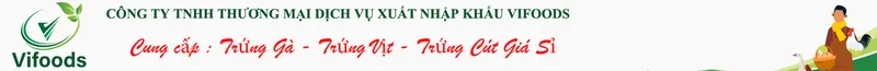 Sản phẩm trung ga trung vit gia si234) — Công Ty TNHH Thương Mại Dịch Vụ Xuất Nhập Khẩu Vifoods — MST 0317586023