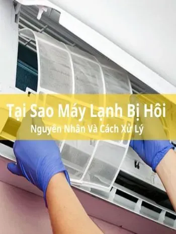 Sản phẩm 91 350x466 — Công Ty TNHH Wow Plus Việt Nam — MST 0317625201