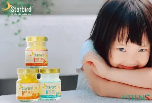 Sản phẩm Teddy va starbird 2 300x203 — Yến Sào Starbird - Công Ty TNHH Quốc Tế Song Tiên — MST 0317650670