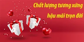 Sản phẩm baner row3 — Thiết Bị Vũ Thái - Công Ty TNHH Thiết Bị Vũ Thái — MST 0317660044