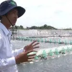 Sản phẩm nuôi tôm 150x150 — Máy Bơm Hà Gia - Công Ty TNHH Thương Mại Và Công Nghiệp Hà Gia — MST 0317692550