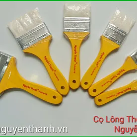 Sản phẩm co son 1754697429.jpg — Công Ty TNHH Cọ Sơn Nguyễn Thanh — MST 0317697608