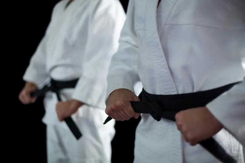 Sản phẩm two karate fighters performing karate stance — Công Ty TNHH Dịch Vụ Thám Tử Hạnh Phúc — MST 0317698584