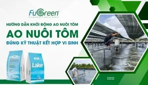 Sản phẩm Thumbnail_Website_Fugreen 1 300x173 — Men Vi Sinh Fugreen - Công ty TNHH Môi Trường Fugreen — MST 0317704005