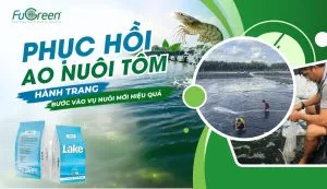 Sản phẩm Thumbnail_Website_Fugreen 2 300x173 — Men Vi Sinh Fugreen - Công ty TNHH Môi Trường Fugreen — MST 0317704005