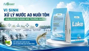 Sản phẩm Thumbnail_Website_Fugreen 3 300x173 — Men Vi Sinh Fugreen - Công ty TNHH Môi Trường Fugreen — MST 0317704005