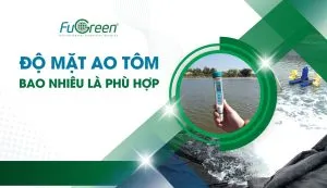 Sản phẩm Thumbnail_Website_Fugreen 4 300x173 — Men Vi Sinh Fugreen - Công ty TNHH Môi Trường Fugreen — MST 0317704005