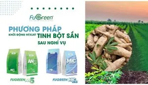 Sản phẩm Thumbnail_Website_Fugreen 5 300x173 — Men Vi Sinh Fugreen - Công ty TNHH Môi Trường Fugreen — MST 0317704005