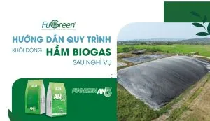 Sản phẩm Thumbnail_Website_Fugreen 6 300x173 — Men Vi Sinh Fugreen - Công ty TNHH Môi Trường Fugreen — MST 0317704005