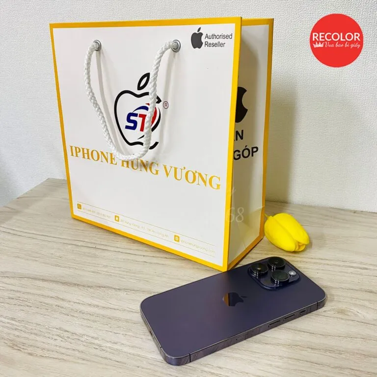 Sản phẩm tui_giay_HS261 10 768x768 — Công Ty TNHH Recolor — MST 0317706789