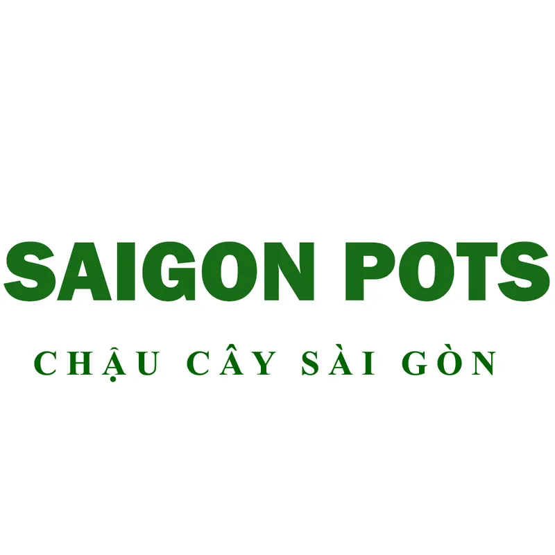 Logo Chậu Cây Sài Gòn - Công Ty TNHH Chậu Cây Sài Gòn