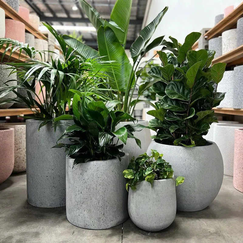 Sản phẩm BIA CHAU DDASAD MAG — Chậu Cây Sài Gòn - Công Ty TNHH Chậu Cây Sài Gòn — MST 0317716579