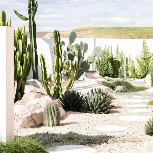 Sản phẩm CAY NGOAI TROI 500x500 — Chậu Cây Sài Gòn - Công Ty TNHH Chậu Cây Sài Gòn — MST 0317716579