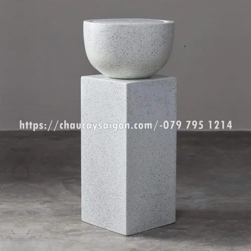 Sản phẩm Untitled 2 11 500x500 — Chậu Cây Sài Gòn - Công Ty TNHH Chậu Cây Sài Gòn — MST 0317716579