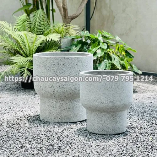 Sản phẩm Untitled 3 37 500x500 — Chậu Cây Sài Gòn - Công Ty TNHH Chậu Cây Sài Gòn — MST 0317716579