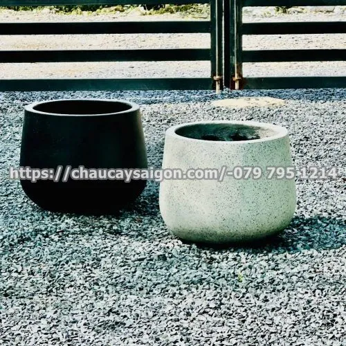 Sản phẩm Untitled 3 38 500x500 — Chậu Cây Sài Gòn - Công Ty TNHH Chậu Cây Sài Gòn — MST 0317716579