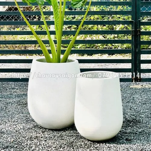 Sản phẩm Untitled 4 20 500x500 — Chậu Cây Sài Gòn - Công Ty TNHH Chậu Cây Sài Gòn — MST 0317716579
