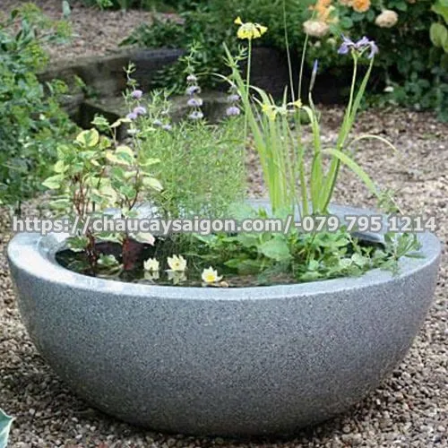 Sản phẩm Untitled 6 500x500 — Chậu Cây Sài Gòn - Công Ty TNHH Chậu Cây Sài Gòn — MST 0317716579