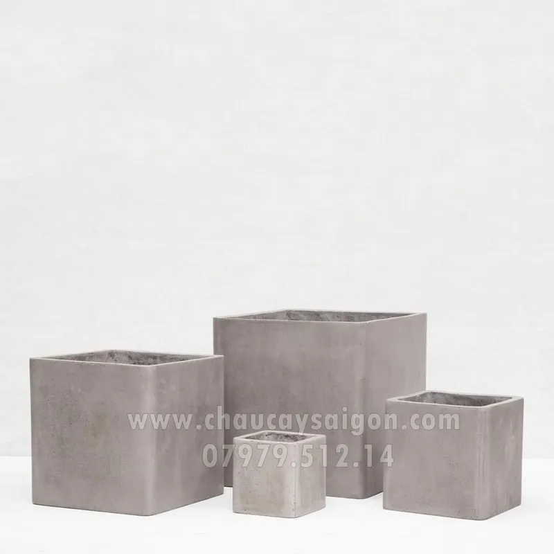 Sản phẩm z2647126061495_68f5fbe4f90f774e36af7f0949c4077c — Chậu Cây Sài Gòn - Công Ty TNHH Chậu Cây Sài Gòn — MST 0317716579