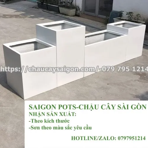Sản phẩm z6405907931856_fbae33f1a83c2631d71fef571cfdeb86 2 1 500x500 — Chậu Cây Sài Gòn - Công Ty TNHH Chậu Cây Sài Gòn — MST 0317716579