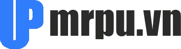 Logo Công Ty TNHH MR PU