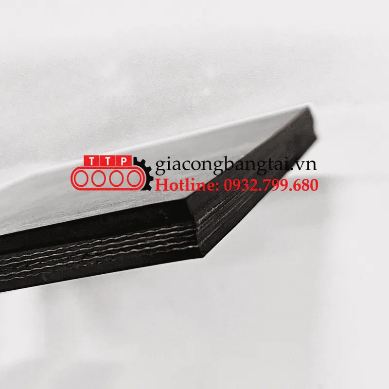 Sản phẩm 12m5b — Băng Tải Thành Thịnh Phát - Công Ty SX-TM Công Nghiệp Thành Thịnh Phát — MST 0317750114