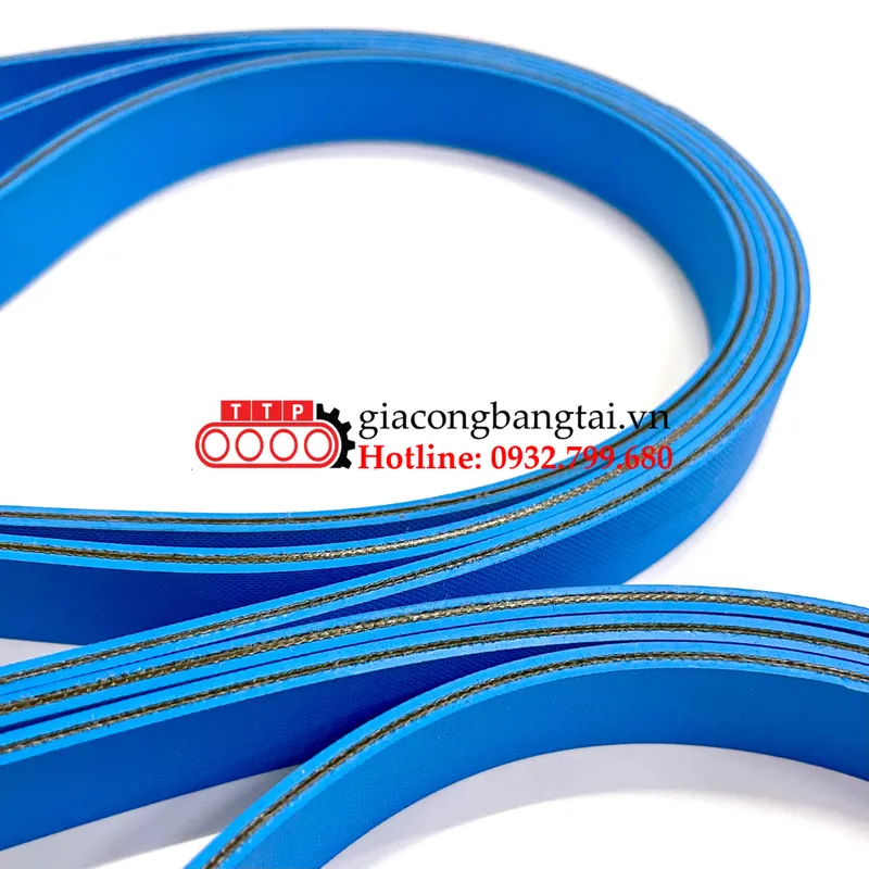 Sản phẩm 2 — Băng Tải Thành Thịnh Phát - Công Ty SX-TM Công Nghiệp Thành Thịnh Phát — MST 0317750114