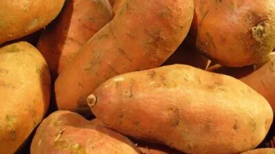 Sản phẩm dried sweet potato2 400x225 — Công Ty TNHH Qualitex — MST 0317758794
